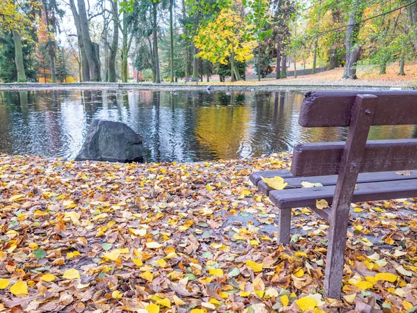 Fall Park Bench Pool Gorgeous Autumn Forest Bright Red Golden — Stock Photo, Image