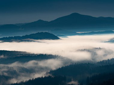 Sabahları dağlık orman manzarasında gün doğumu. Görkemli çam ormanının üzerinde ağır sis var..