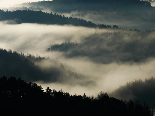 Montañas Con Árboles Niebla Virgen Mañana Otoñal Paisaje Montañoso —  Fotos de Stock