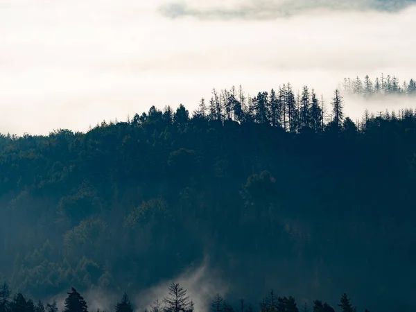 Bomen Silhouetten Heuvel Schilderachtig Uitzicht Bergbossen Bedekt Door Melkachtige Mist — Stockfoto
