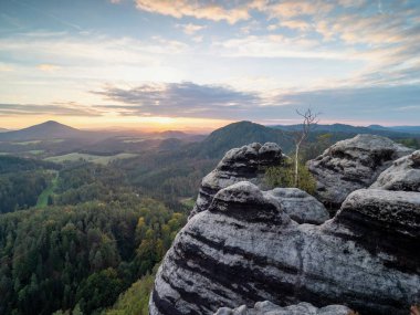 Dağlarda dinlenen güneş ışınları ile huş ağacı, sonbahar mevsimi manzarası 