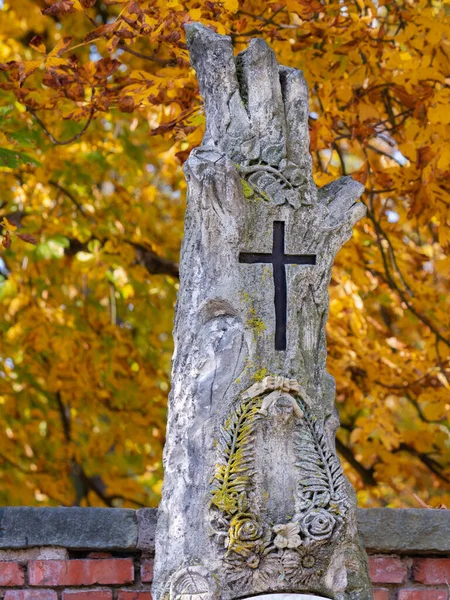 Gebroken Christelijke Levensboom Met Zwart Kruis Oktober 2020 Hronov Tsjechië — Stockfoto