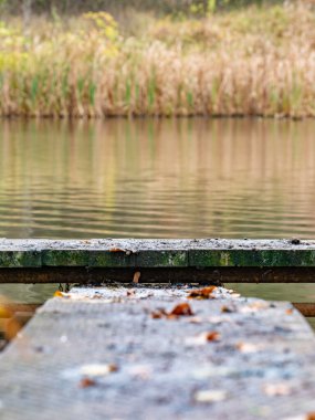Islak gölet köstebeği. Gölette ahşap iskele ve sonbahar yaprakları. Sessiz sonbahar doğası.