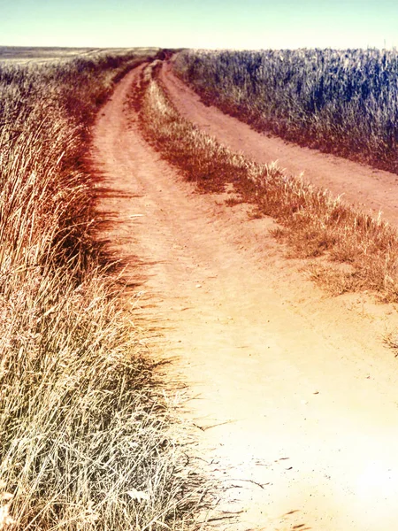 Αγροτικός Σκονισμένος Επαρχιακός Δρόμος Ένα Χωράφι Ηλιοβασίλεμα Αφηρημένο Φίλτρο — Φωτογραφία Αρχείου