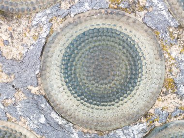 Yüksek basınçlı bir atölyede patlamayı yönetmek için önleyici cam tavan..