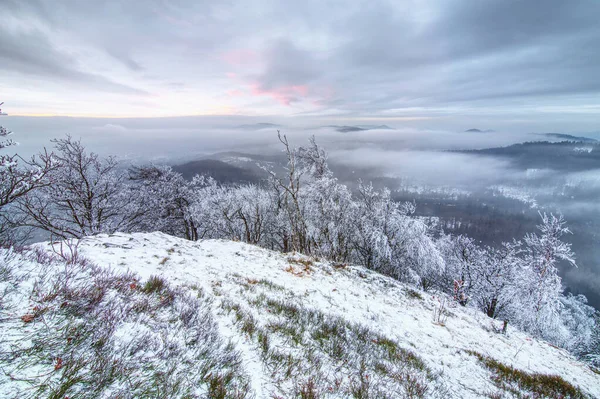 Kış dağlarının manzarasında güzel bir günbatımı. Karlı bir günde donmuş kürek ağaçları ve beyaz yapraklar. Yeni Yıl Gündoğumu