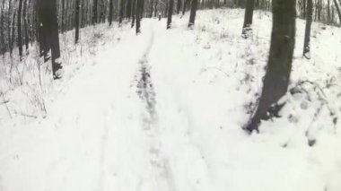 Ormanda bisiklet sürerken izlenen ilk kişi. Popüler motosikletin sürdüğü ağaçlar arasındaki tehlikeli yol.