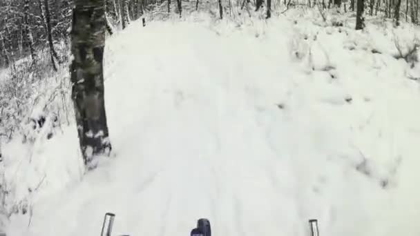 森林のシングルトラックでのPovナイトバイク 細い自転車道を持つ重い滑りやすい地形 重いカメラの揺れ — ストック動画