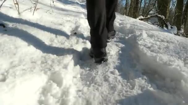 Wandelschoenen Sneeuw Het Park Wandeling Bosheuvel Tijdens Zonnige Winterdag — Stockvideo