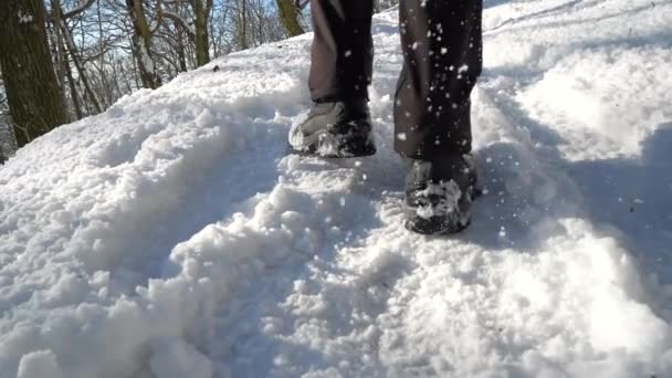 Benig Tonåring Vinterskor Går Snön Vinterpark Solig Vinterdag Utomhus Långsamma — Stockvideo