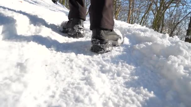 Ben Resenären Promenader Vid Kulle Sida Promenader Den Hårda Snö — Stockvideo