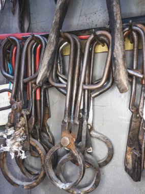 Makası kes. Cam masanda elmas makasıyla kerpeten şekillendiriyor. 