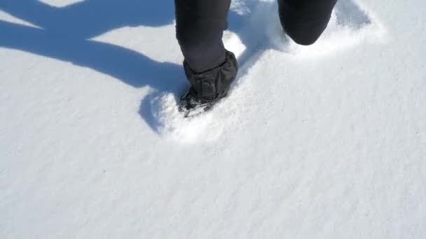 Nsanlığın Alçak Kesimi Donmuş Gölde Kar Altında Buz Pateni Yapmaya — Stok video