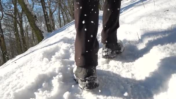 Winter Walk Wanderschuhe Mit Beinen Hohen Schnee Rückansicht Bei Feet — Stockvideo