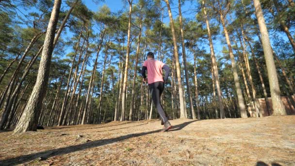 Kör Sport Man Löpare Sprintar Utomhus Tallskog Träna Muskulös Manlig — Stockvideo