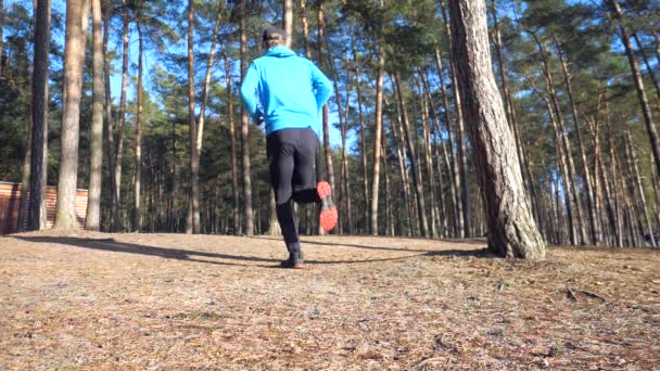 Běžec Černém Dresu Černých Kamaších Běžící Borovicovém Parku Pravidelný Trénink — Stock video