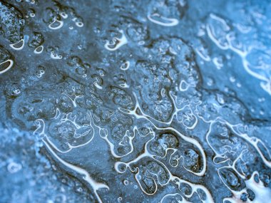 Sürüngen üzerinde eriyen buz kütlelerinin erimesi sırasında su ve buz karışımı. Küresel ısınma nedeniyle büyük çalıları kırma sorunu.