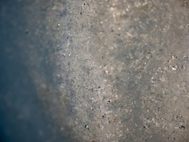 Sürüngen üzerinde eriyen buz kütlelerinin erimesi sırasında su ve buz karışımı. Küresel ısınma nedeniyle büyük çalıları kırma sorunu.