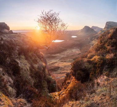 İskoçya, Skye Adası Quiraing 'de sabah ışığında popüler ağaç manzarası. Şafağın altın ışığı bu ikonik sahneyi aydınlatıyor.
