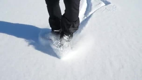 Stopping Rides Slowly Looking Legs Low Front View Ice Skates — Stock Video