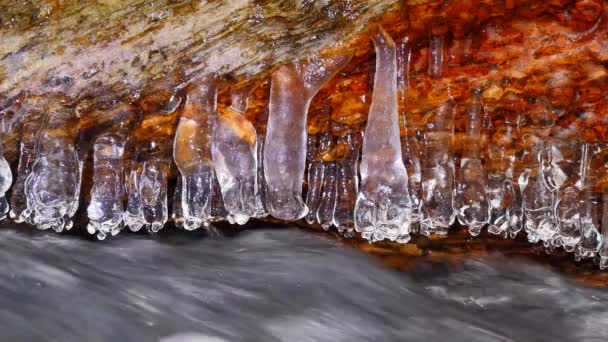 苏玛瓦国家公园的冬季小溪 在冬天 在树上的冰的特写 春天融化的冰柱 — 图库视频影像