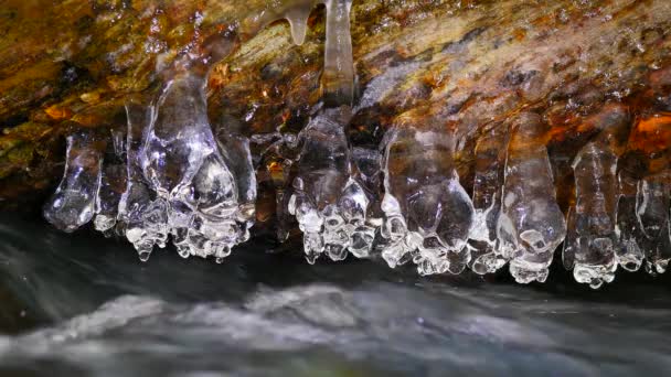 Agua Corriente Hielo Escotilla Polvo Invierno Hielo Brillante — Vídeos de Stock