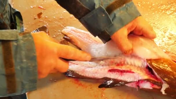 Den Fisch Auf Dem Markt Ausnehmen Aufschneiden Und Filetieren Von — Stockvideo