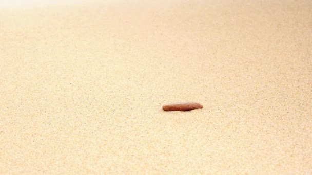 Μοναχική Στρογγυλή Πέτρα Βρίσκεται Πάνω Στην Άμμο Κατά Διάρκεια Της — Αρχείο Βίντεο