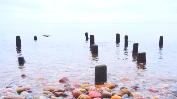 Stilles Abendmeer Kleine Wellen Kollidieren Leicht Mit Dem Maroden Holz — Stockvideo