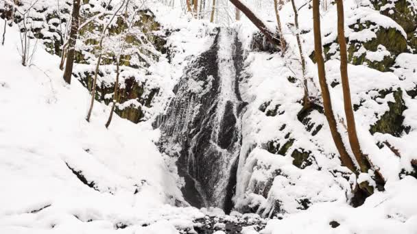 Kışın Donmuş Şelale Kayalık Taraftaki Karlı Orman Duvarlı Dere — Stok video