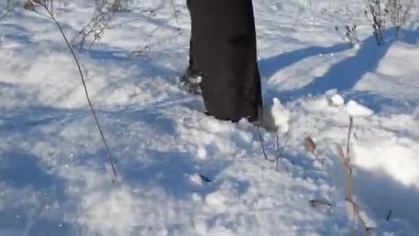 Male Legs Going Uphill Snowy Meadow Fresh Powder Snow Blowing — Stock Video