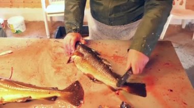 Bıçakla balık pullarını elle temizleme.