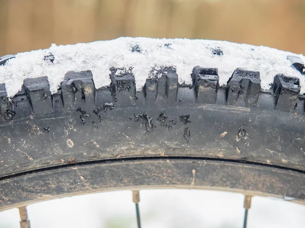 Rear mtb wheel with fat tire for extreme terrain.  Close up of a tire of the bicycle. The bike in the winter snow place