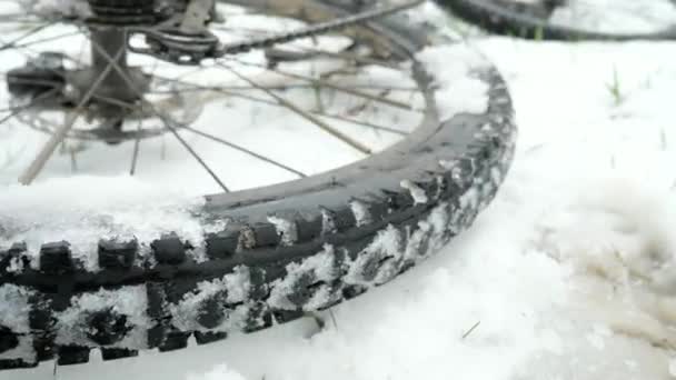 Queda Mtb Neve Prado Nevado Roda Traseira Gira — Vídeo de Stock