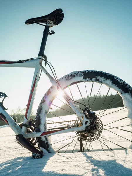 Bakhjul Fett Cykel Vinter Spår Mot Solen Och Blå Himmel — Stockfoto