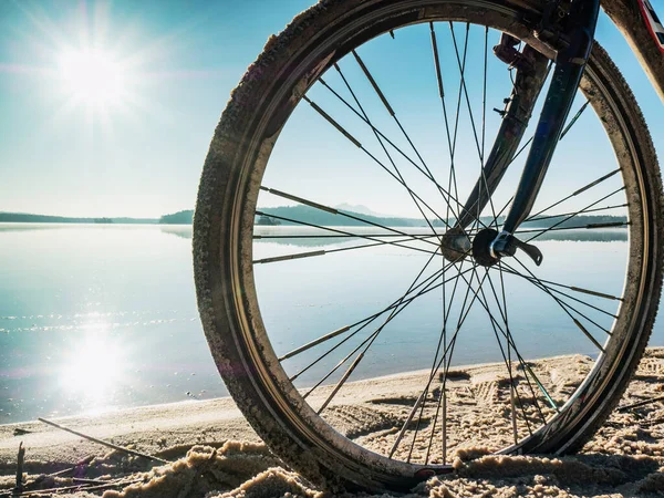 Első Kerék Kaviár Kerékpár Homokos Tengerparton Nap Kék Vizében Tükröződik — Stock Fotó