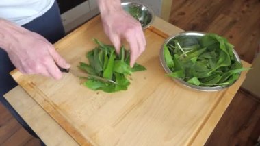 Taze yabani sarımsakla yemek pişirmek. Tahta kesme tahtasındaki yapraklar keskin bıçakla doğal ahşap doğrama tahtasıyla