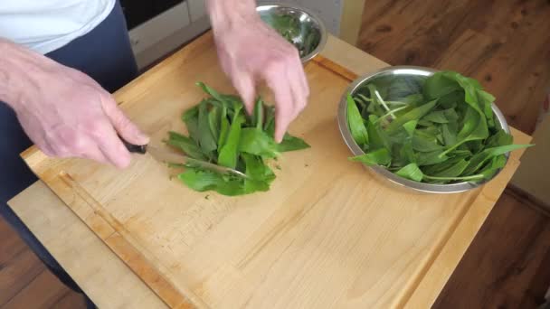 Cooking Fresh Wild Garlic Leaves Wooden Cutting Board Sharp Knife — Stock Video