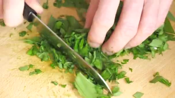 Bowl Full Chopped Ramsons Wild Garlic Leaves Preparing Healthy Food — Stock Video