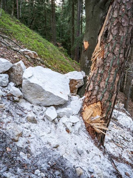 Çökmüş Kaya Parçaları Kumtaşı Kayalarından Toprak Kayması Yüzünden Orman Yolu — Stok fotoğraf