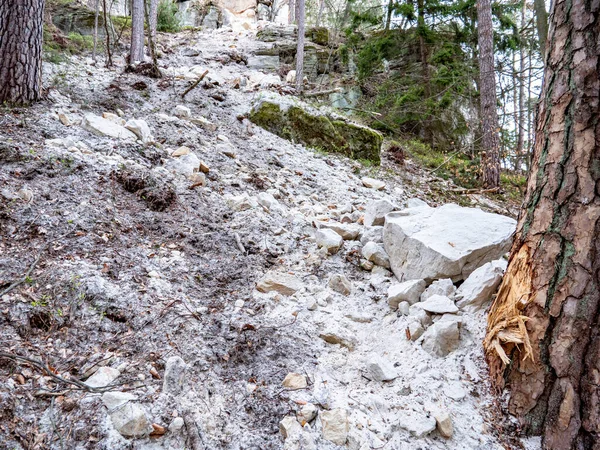 Çökmüş Kaya Parçaları Kumtaşı Kayalarından Toprak Kayması Yüzünden Orman Yolu — Stok fotoğraf