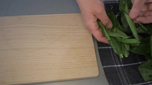 双手放一束新鲜的有机熊蒜叶放在厨房桌上的木制垫子上 — 图库视频影像