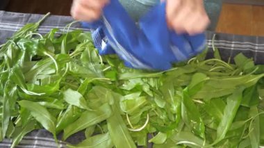 Vahşi Ramson sarımsağının taze yapraklarından kurumuş damlalar. Ev yapımı yabani sarımsaklı pesto.