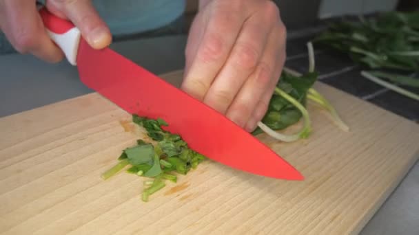 Manos Femeninas Cortando Con Cuchillo Cerámica Roja Hojas Verdes Manojo — Vídeos de Stock