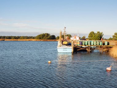 Tekne iskelesi, Prerow Limanı, Batı Pomerania Lagoon Bölgesi Ulusal Parkı. Mecklenburg-Batı Pomerania, Almanya