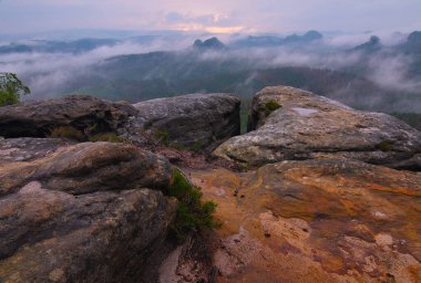 Sakson İsviçre 'de Foggy Morning' in tadını çıkarın. Saksonya bölgesi, Almanya