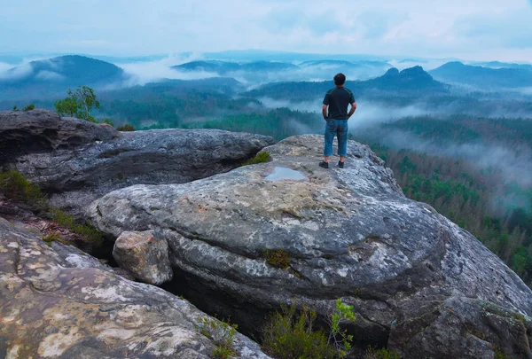 Homem Desfrutar Vista Manhã Foggy Saxon Suíça Saxónia Alemanha — Fotografia de Stock