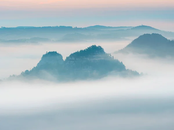 Утренняя Туманная Долина Холмы Деревья Голубом Тумане Спокойный Пейзаж Перед — стоковое фото