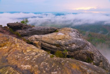 Saksonya 'daki Grosser Zschand Vadisi' nin karşısındaki zirve manzarası. Sabah alacakaranlığı ve sis. Vadide şafak vakti sis. 