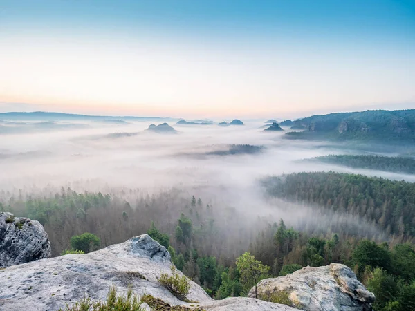 Misty Wake Misty Landscape Picturesque Sunrise Foggy Morning Bad Schandau — Stock Photo, Image